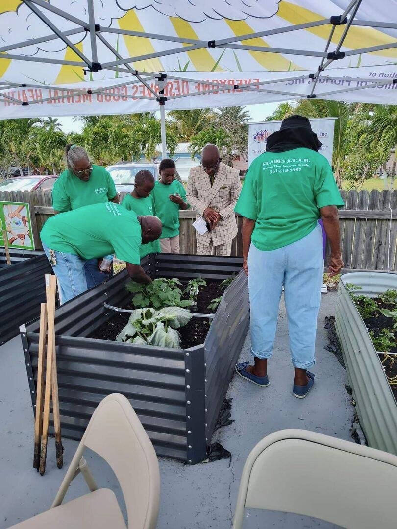 Young people and volunteers working together in the Woosah Garden